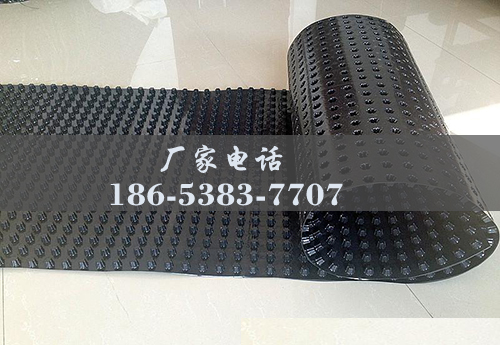 排水板廠家http://m.savealotmom.com/