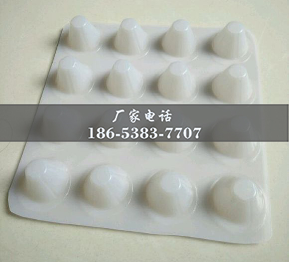 排水板廠家http://m.savealotmom.com/